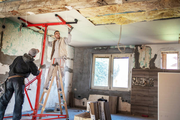 Best DIY Insulation Kits and Guidance in Lees Summit, MO