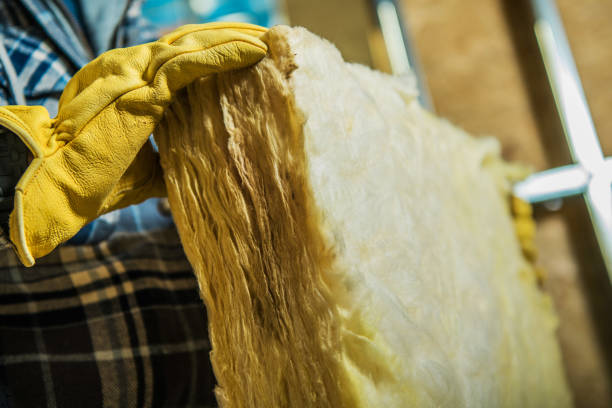 Professional Insulation Contractor in Lees Summit, MO