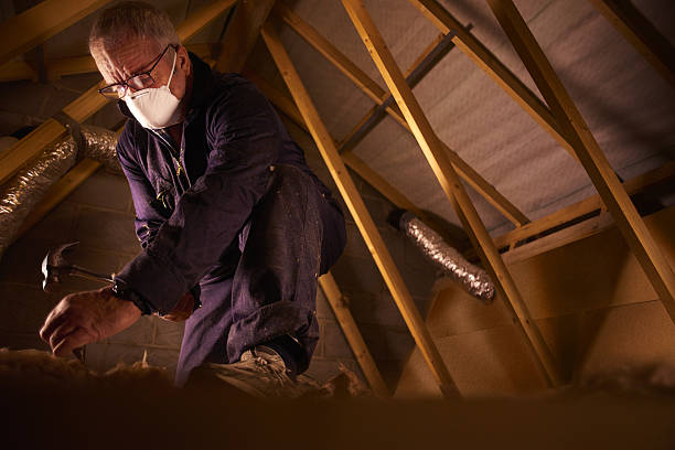 Best Specialized Insulation Services in Lees Summit, MO