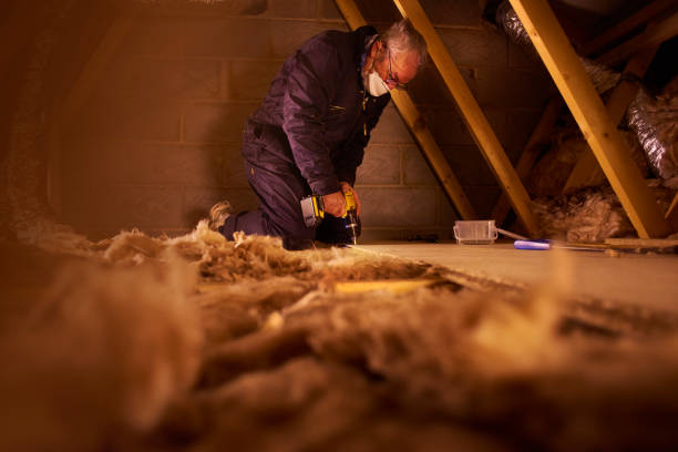 Best Energy Efficiency Insulation in Lees Summit, MO