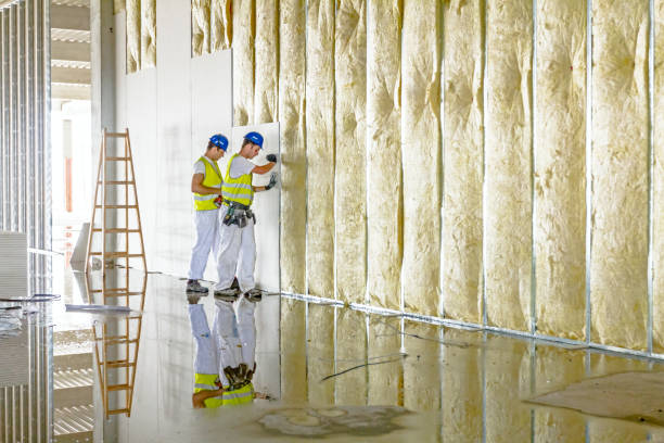 Best Cellulose Insulation in Lees Summit, MO